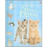 The Usborne Little Book of Cats and Kittens