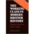 The Working Class in Modern British History