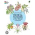 Tropical Flowers of the World Coloring Book