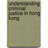 Understanding Criminal Justice in Hong Kong