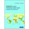 Vegetation And The Terrestrial Carbon Cycle door F. Ian Woodward