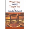 What They Never Taught You in Sunday School door Steven Hutson