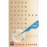 Where Water Comes Together With Other Water by Raymond Carver