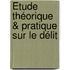 Étude Théorique & Pratique Sur Le Délit