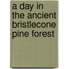 A Day In The Ancient Bristlecone Pine Forest by Mark A. Schlenz