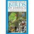 A Photographic Guide To The Birds Of Jamaica