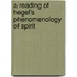 A Reading of Hegel's Phenomenology of Spirit