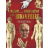 Anatomy and Construction of the Human Figure by Charles Earl Bradbury