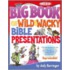 Big Book of Wild & Wacky Bible Presentations