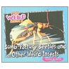 Bomb-Factory Beetles and Other Weird Insects by Carmen Bredeson
