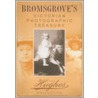 Bromsgrove's Victorian Photographic Treasury by Terry O'Brien