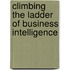 Climbing the Ladder of Business Intelligence