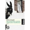 Das Geheimnis meiner türkischen Großmutter by Dilek Güngör