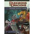 Dungeons And Dragons Player's Strategy Guide