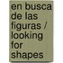 En busca de las figuras / Looking for Shapes