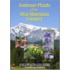 Endemic Plants Of The Altai Mountain Country