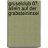 Gruselclub 07. Allein auf der Grabsteininsel