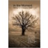 In The Moment - Writing From A Spacious Mind