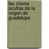 Las Claves Ocultas de La Virgen de Guadalupe