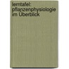 Lerntafel: Pflanzenphysiologie im Überblick by Birgit Jarosch