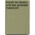Manöl de Oliveira und das groteske Melodram