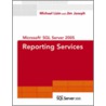 Microsoft Sql Server 2005 Reporting Services door Michael Lisin