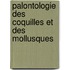 Palontologie Des Coquilles Et Des Mollusques