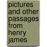 Pictures And Other Passages From Henry James door Ruth Mayhew Head