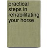 Practical Steps In Rehabilitating Your Horse door Sarah Wyche