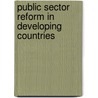 Public Sector Reform In Developing Countries door Victor Ayeni