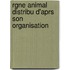 Rgne Animal Distribu D'Aprs Son Organisation