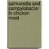 Salmonella And Campylobacter In Chicken Meat