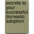 Secrets To Your Successful Domestic Adoption
