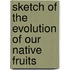 Sketch of the Evolution of Our Native Fruits