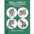 Small Animals of North America Coloring Book