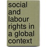 Social And Labour Rights In A Global Context door Onbekend