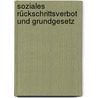 Soziales Rückschrittsverbot und Grundgesetz by Rolf-Ulrich Schlenker
