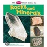The Pebble First Guide to Rocks and Minerals door Zachary Pitts