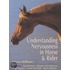 Understanding Nervousness In Horse And Rider