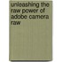Unleashing The Raw Power Of Adobe Camera Raw
