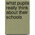 What Pupils Really Think About Their Schools