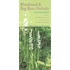 Woodland And Bog Rein Orchids In Your Pocket
