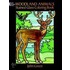 Woodland Animals Stained Glass Coloring Book