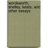 Wordsworth, Shelley, Keats, And Other Essays door Ma David Masson