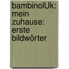 bambinoLÜK: Mein Zuhause: Erste Bildwörter by Michael Junga