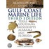 Beachcomber's Guide To Gulf Coast Marine Life