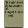 Das geheime Dinoversum 07. Stegosaurus in Not door Rex Stone