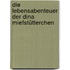Die Lebensabenteuer der Dina Miefstütterchen