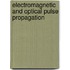 Electromagnetic And Optical Pulse Propagation