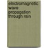 Electromagnetic Wave Propagation Through Rain